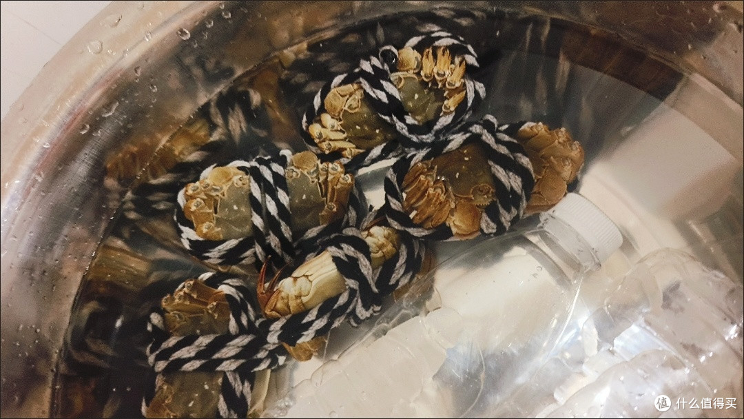开湖季的惊喜！固城湖大闸蟹礼盒，鲜活直达的秋日盛宴