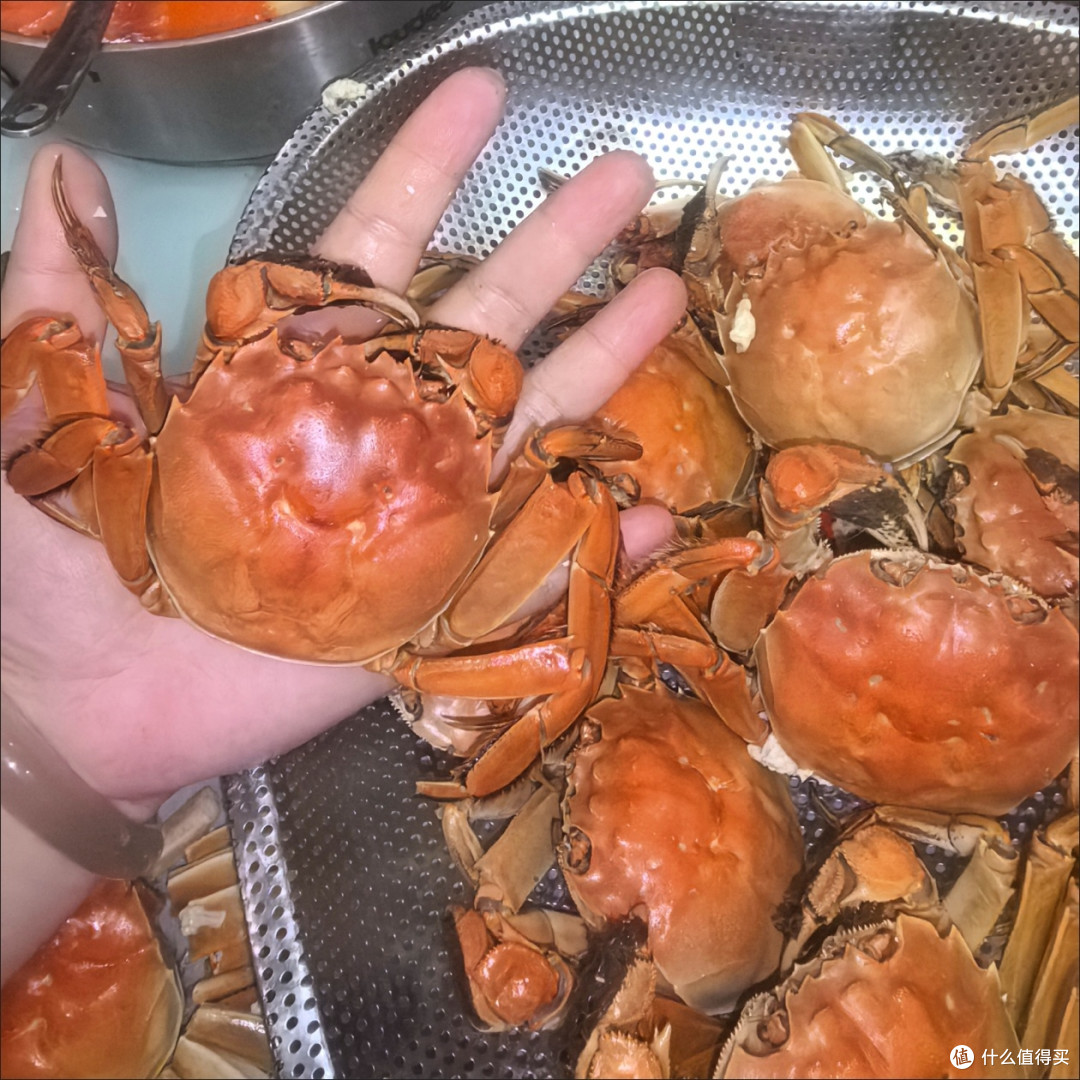 开湖季捡漏!鲜活残母蟹,鲜度在线性价比绝了