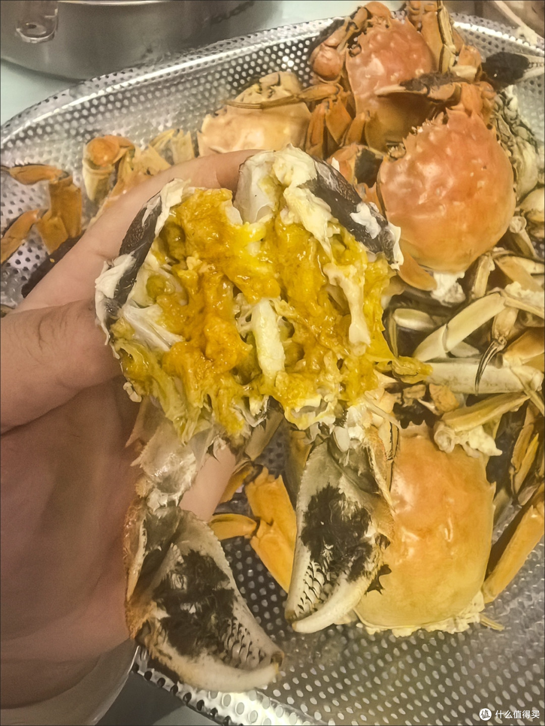 开湖季捡漏!鲜活残母蟹,鲜度在线性价比绝了