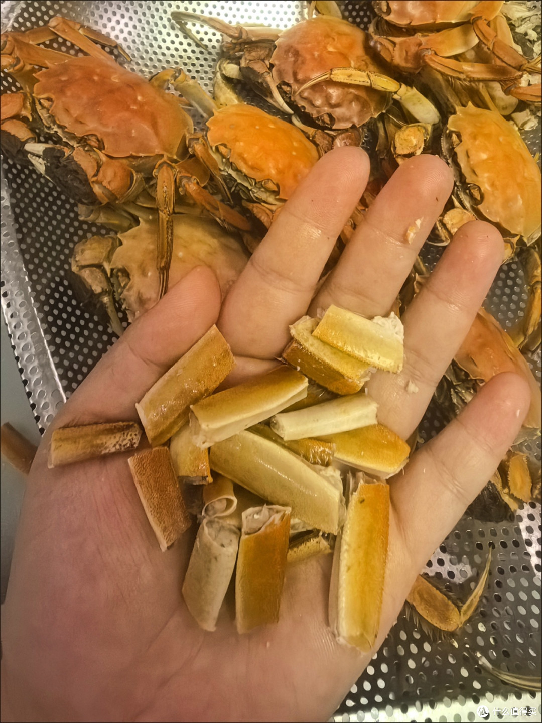 开湖季捡漏!鲜活残母蟹,鲜度在线性价比绝了