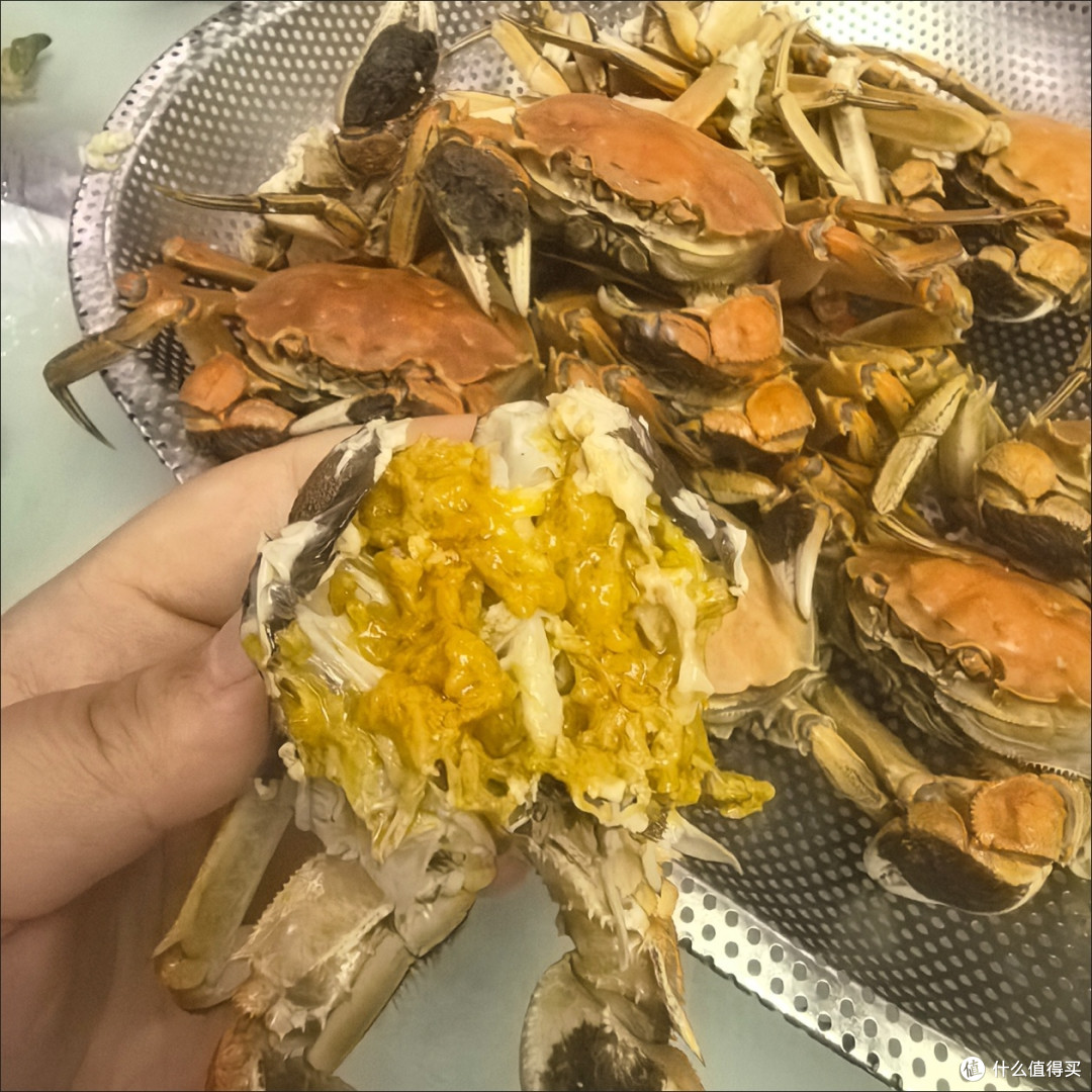 开湖季捡漏！鲜活残母蟹，鲜度在线性价比绝了