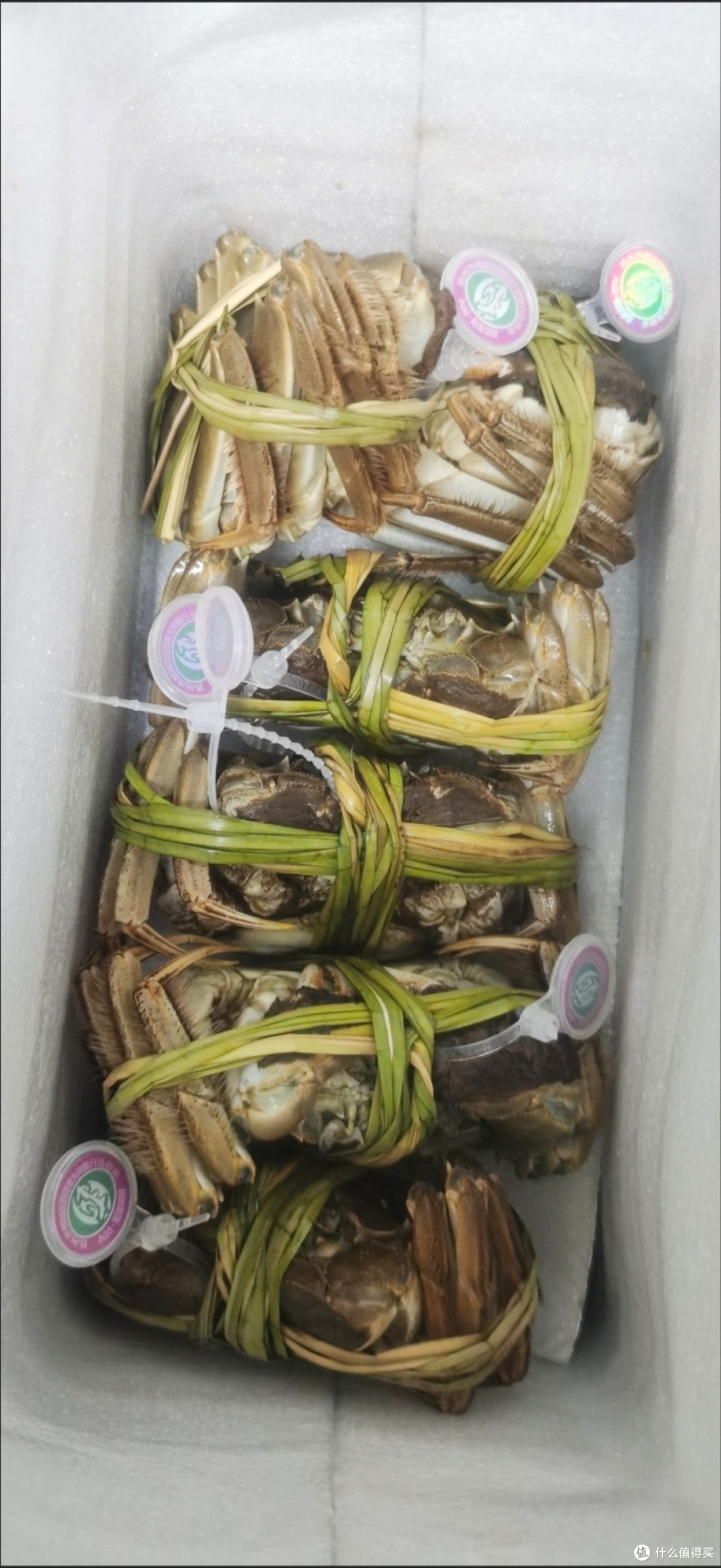 开湖诚意之选!阳澄湖无绳全母蟹礼盒,10只鲜货直击舌尖
