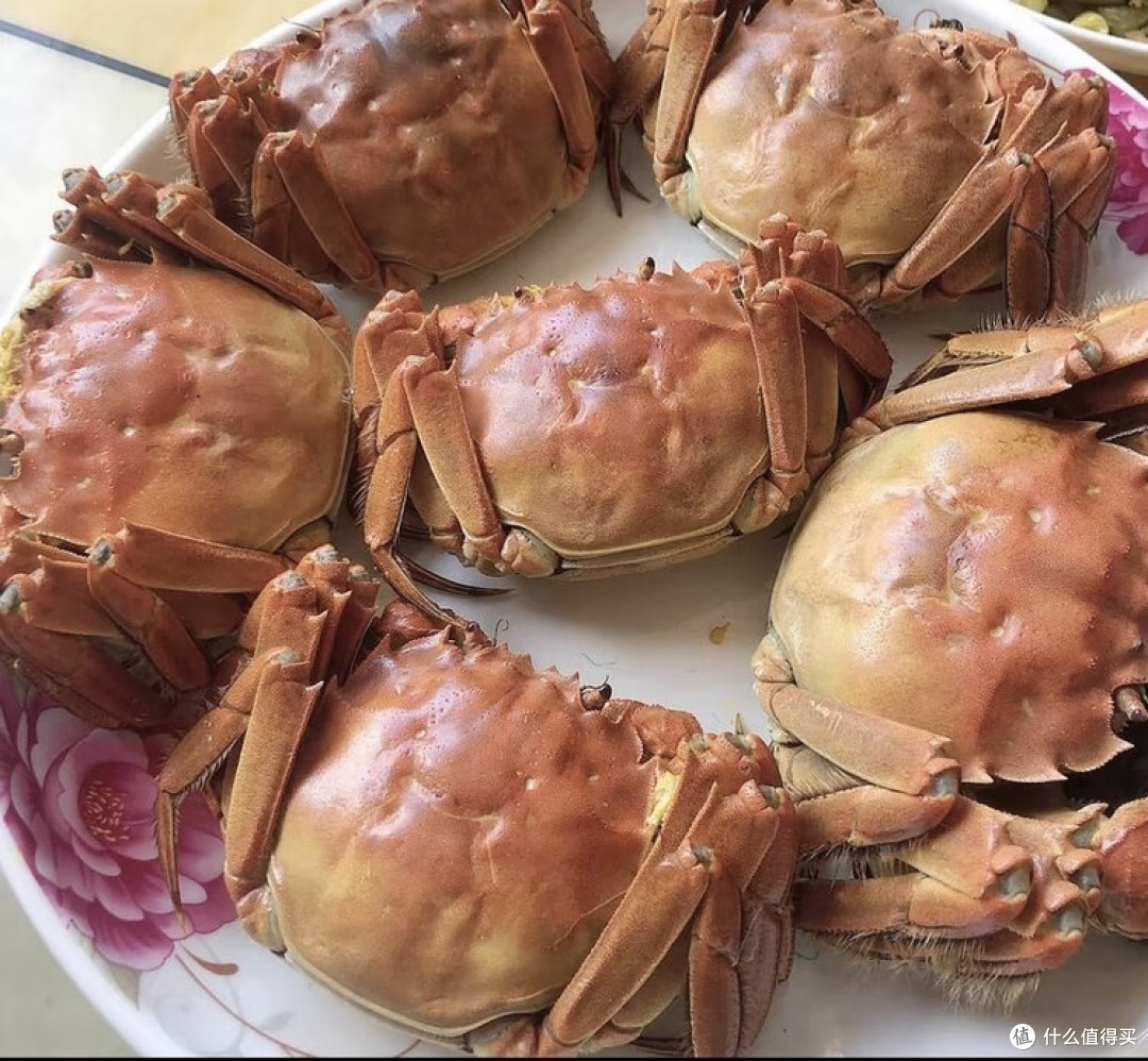 清蒸大闸蟹:把秋日的鲜浓锁进每一寸蟹肉里