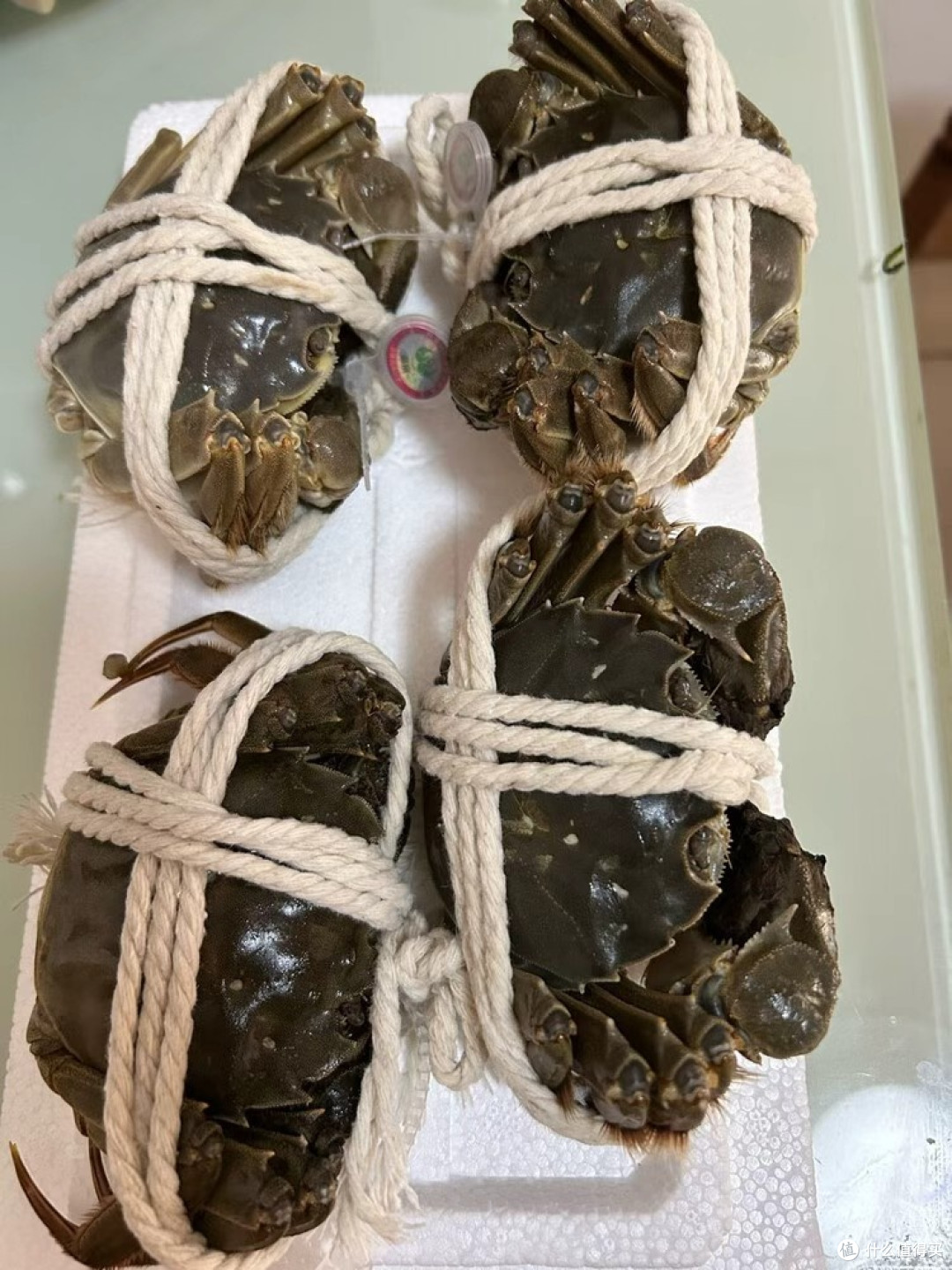鲜活大闸蟹清蒸全指南：从绑绳鲜蟹到蟹黄盛宴的舌尖蜕变 