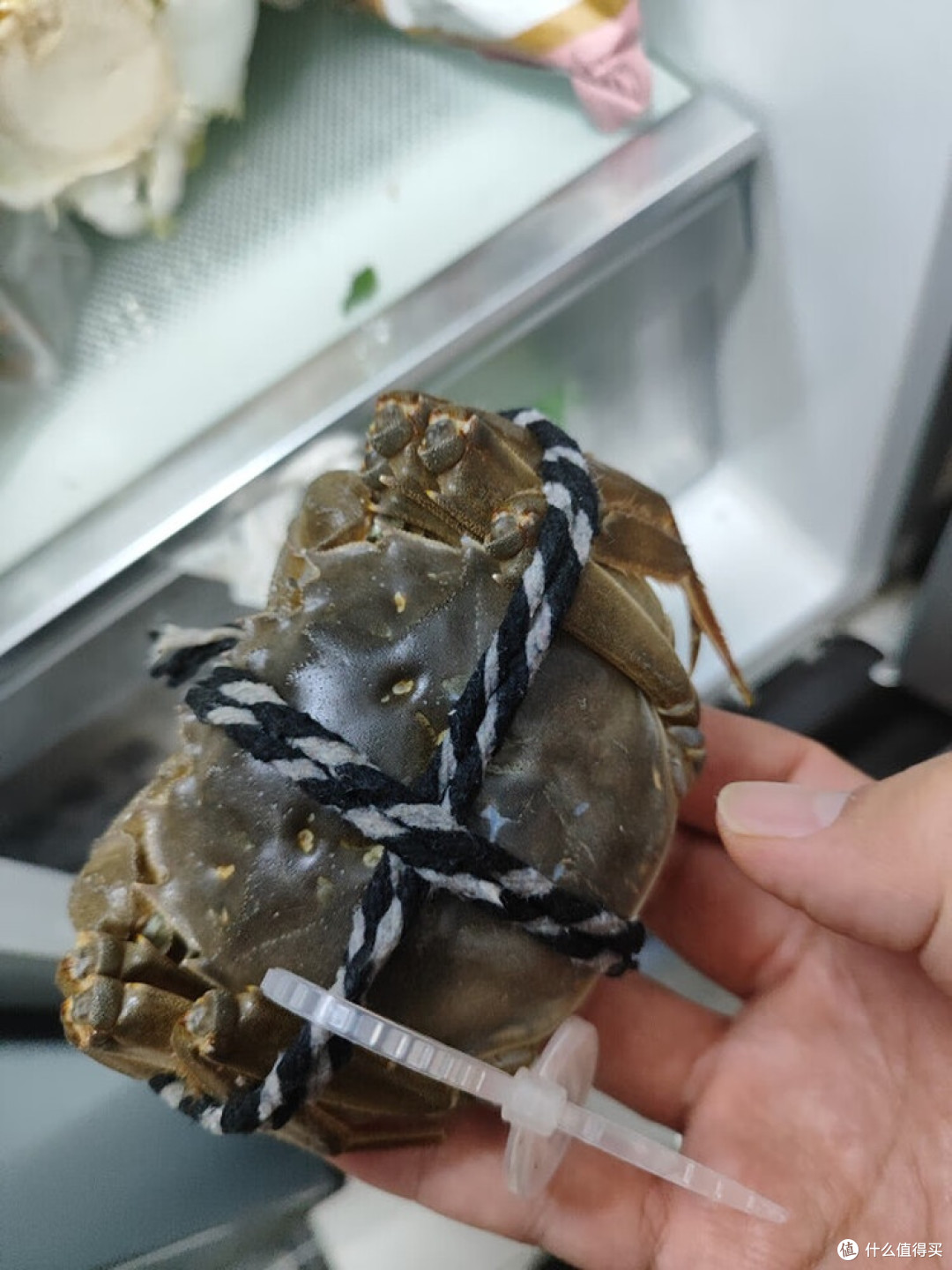 秋日蟹宴:黑白绳大闸蟹烹饪全记录