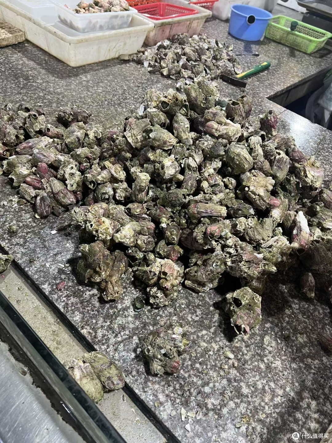 身在连云港还是挺幸福的。因为,可以吃好多的海鲜。