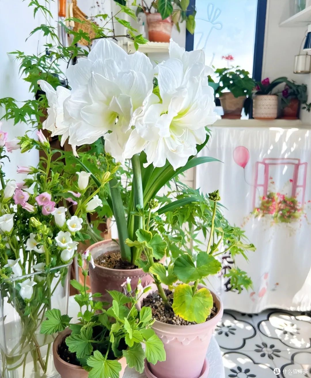 玻璃封阳台已经过时?看看90后的做法,简直太高明了!