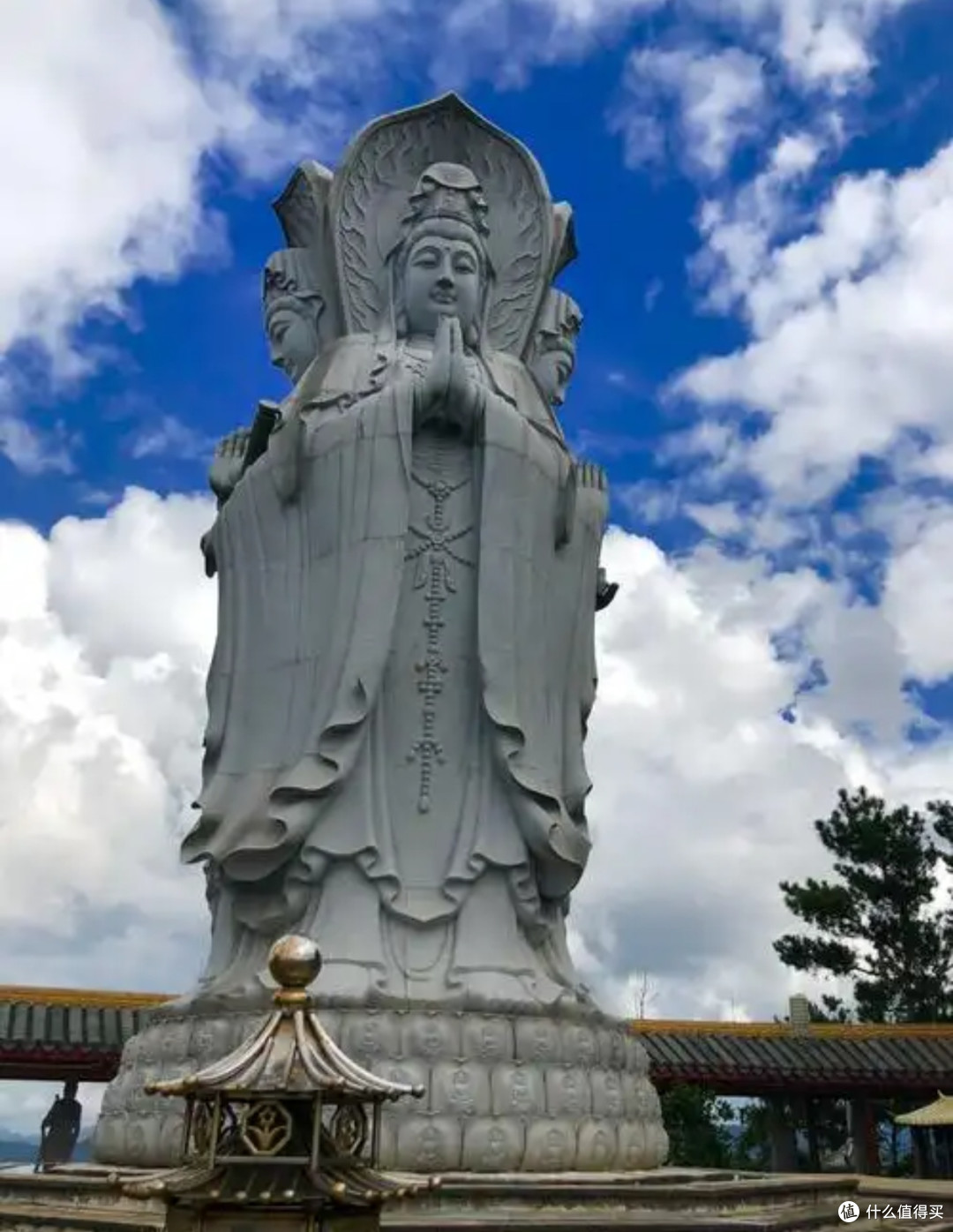 图片来自网络