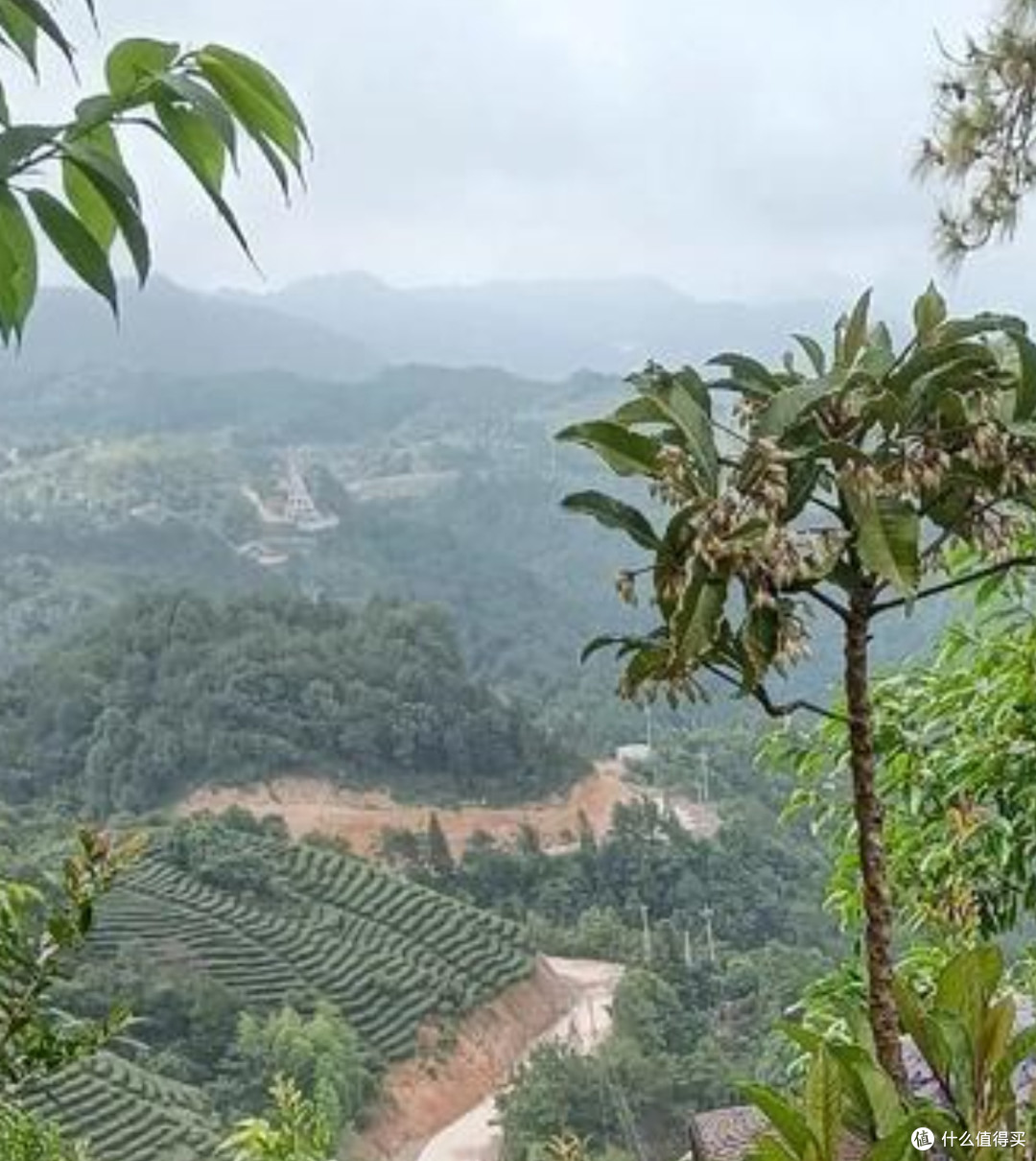 云端朝圣,心驰山野——梅州高观音寺行车探幽记!
