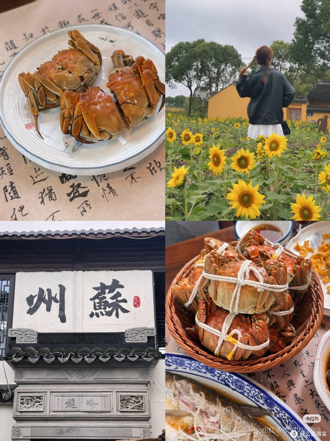 9件有车必备的车载好物,尤其第3个,太会了!