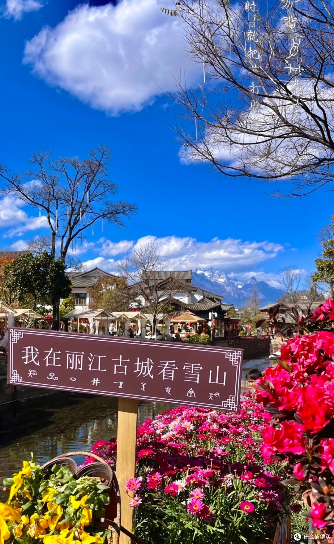 十一我来丽江为祖国庆祝