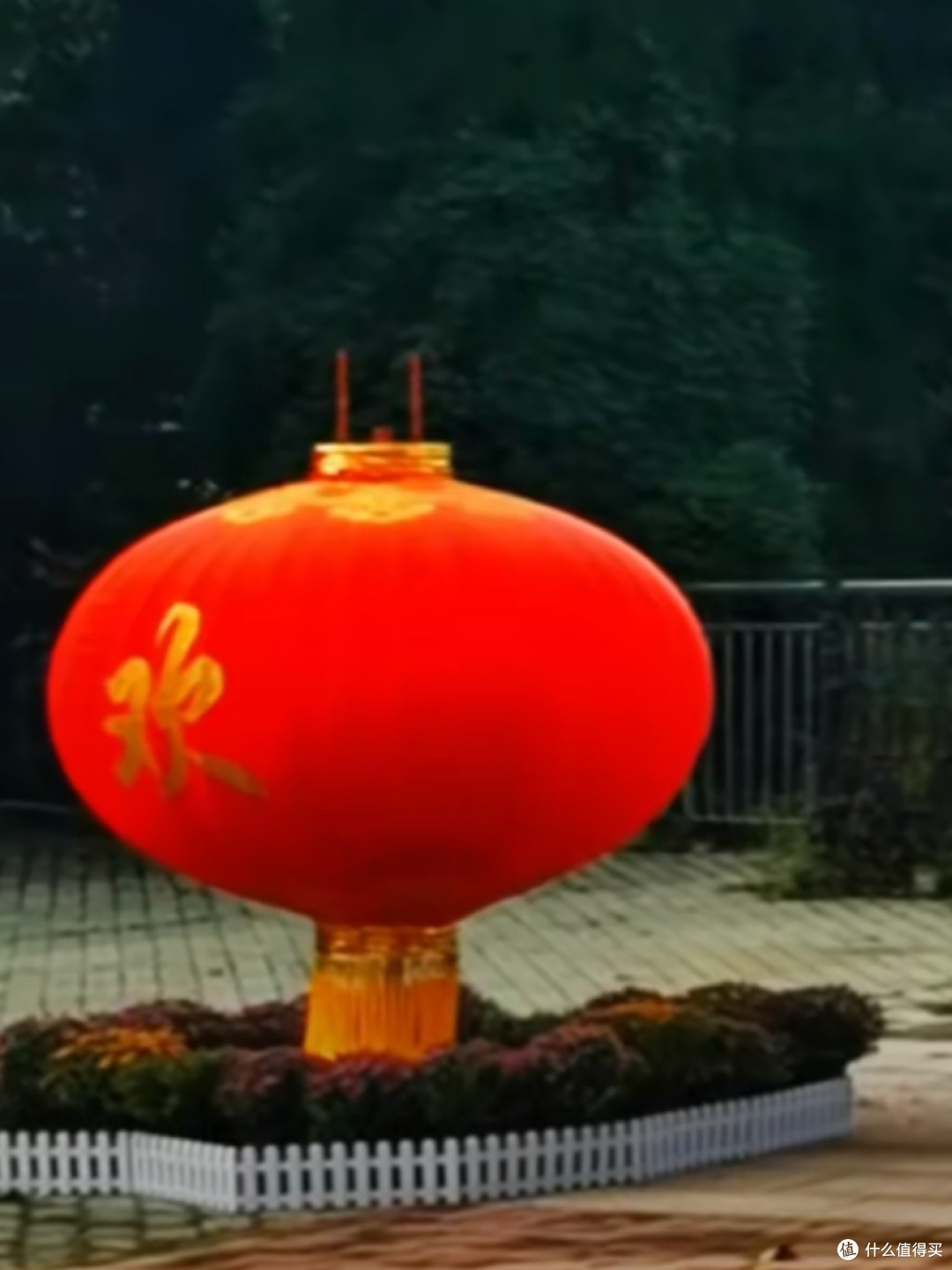 十一寻秋烟台塔山，万菊盛放赴一场秋日盛宴