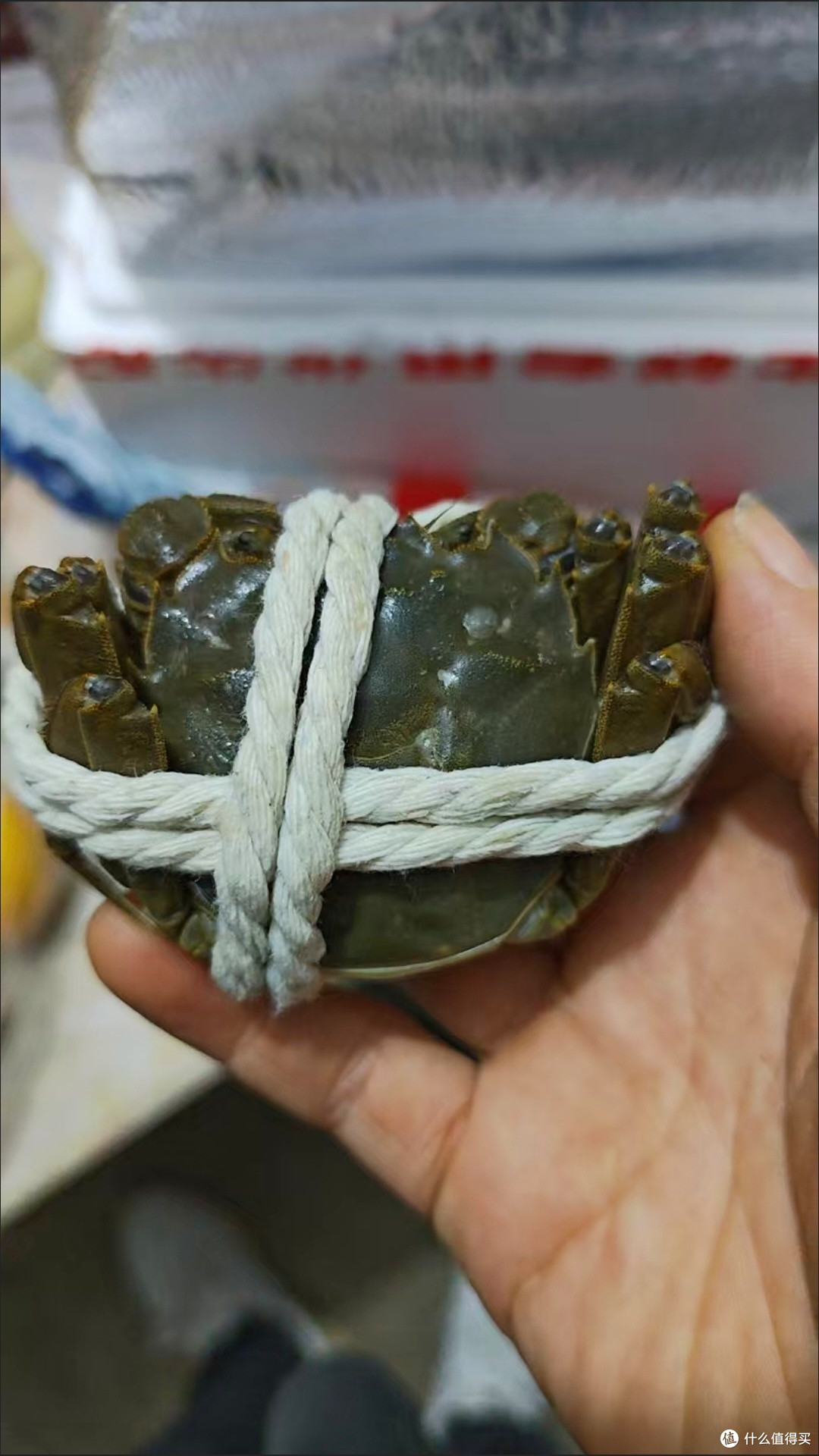 城市寻味记，到阳澄湖体验正宗大闸蟹的鲜美