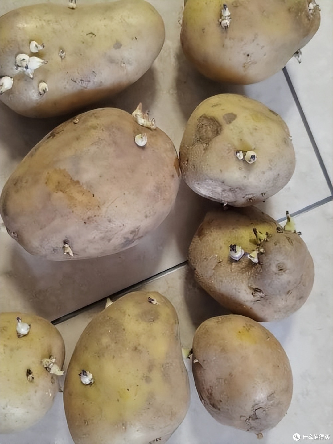 这5种食物,看似能吃实际上“有毒”,尽快丢掉,千万别舍不得!