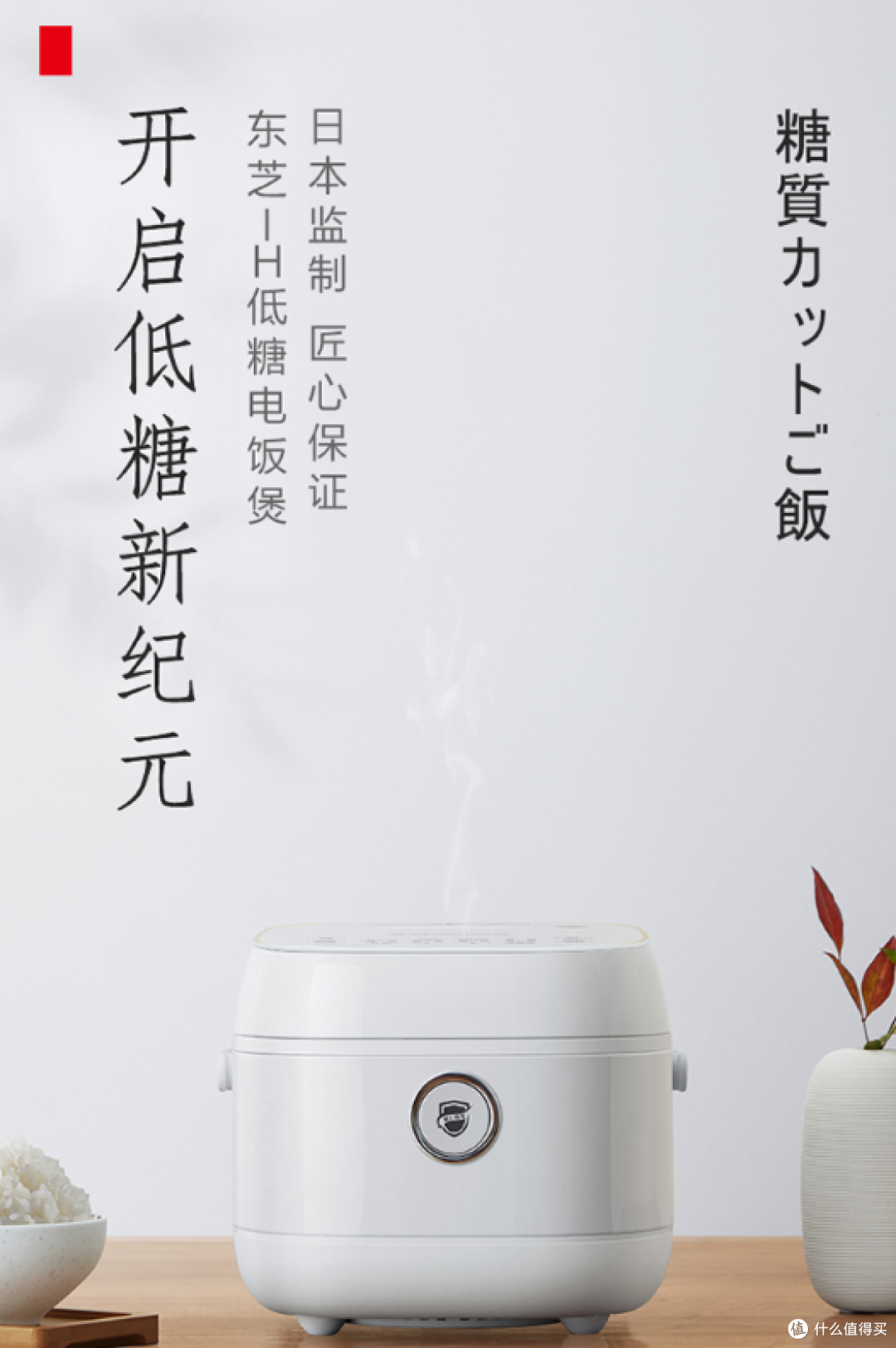 东芝RC-10LPC电饭煲:小家庭的烟火气担当