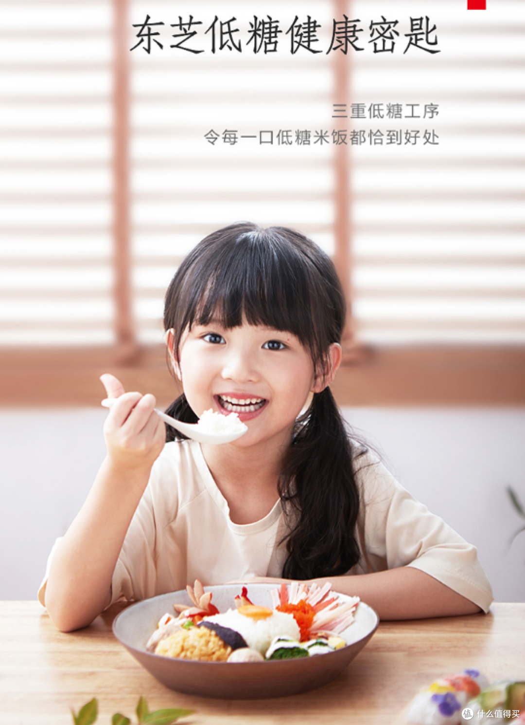 东芝RC-10LPC电饭煲:小家庭的烟火气担当