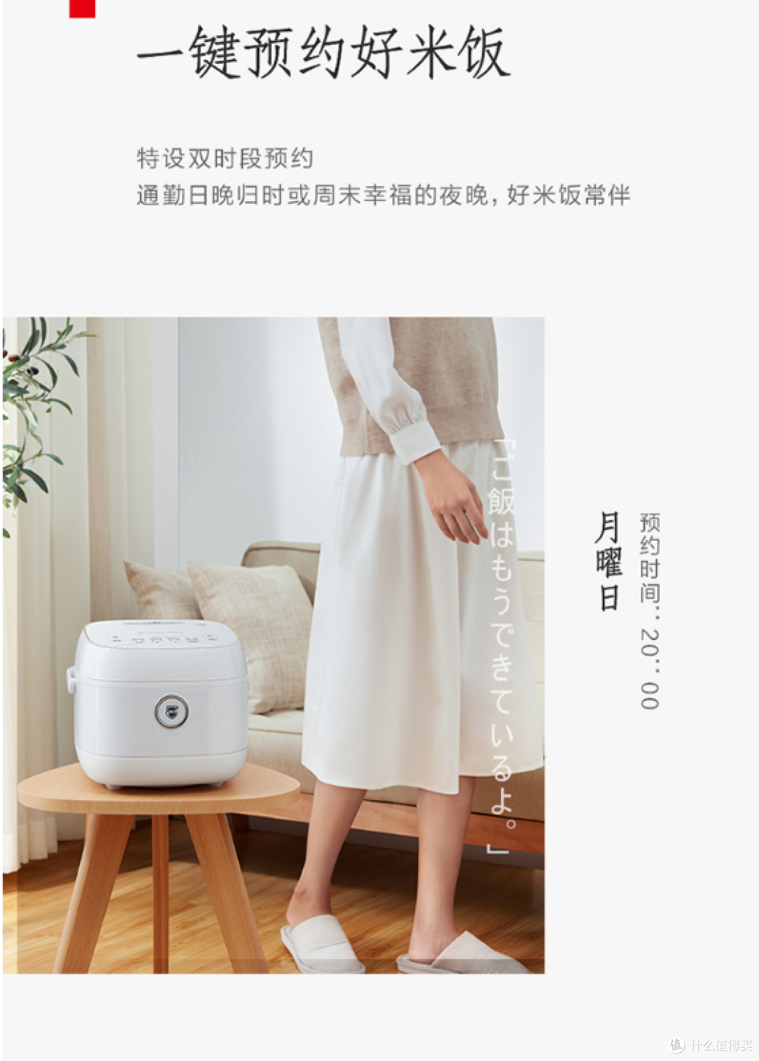 东芝RC-10LPC电饭煲:小家庭的烟火气担当