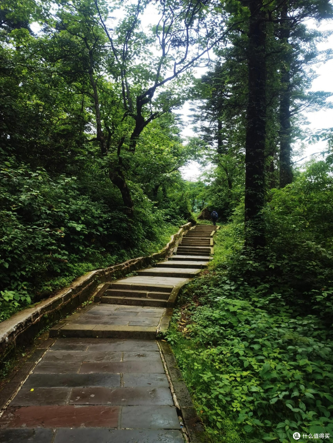 十一峨眉山攻略:不做准备难赏美景