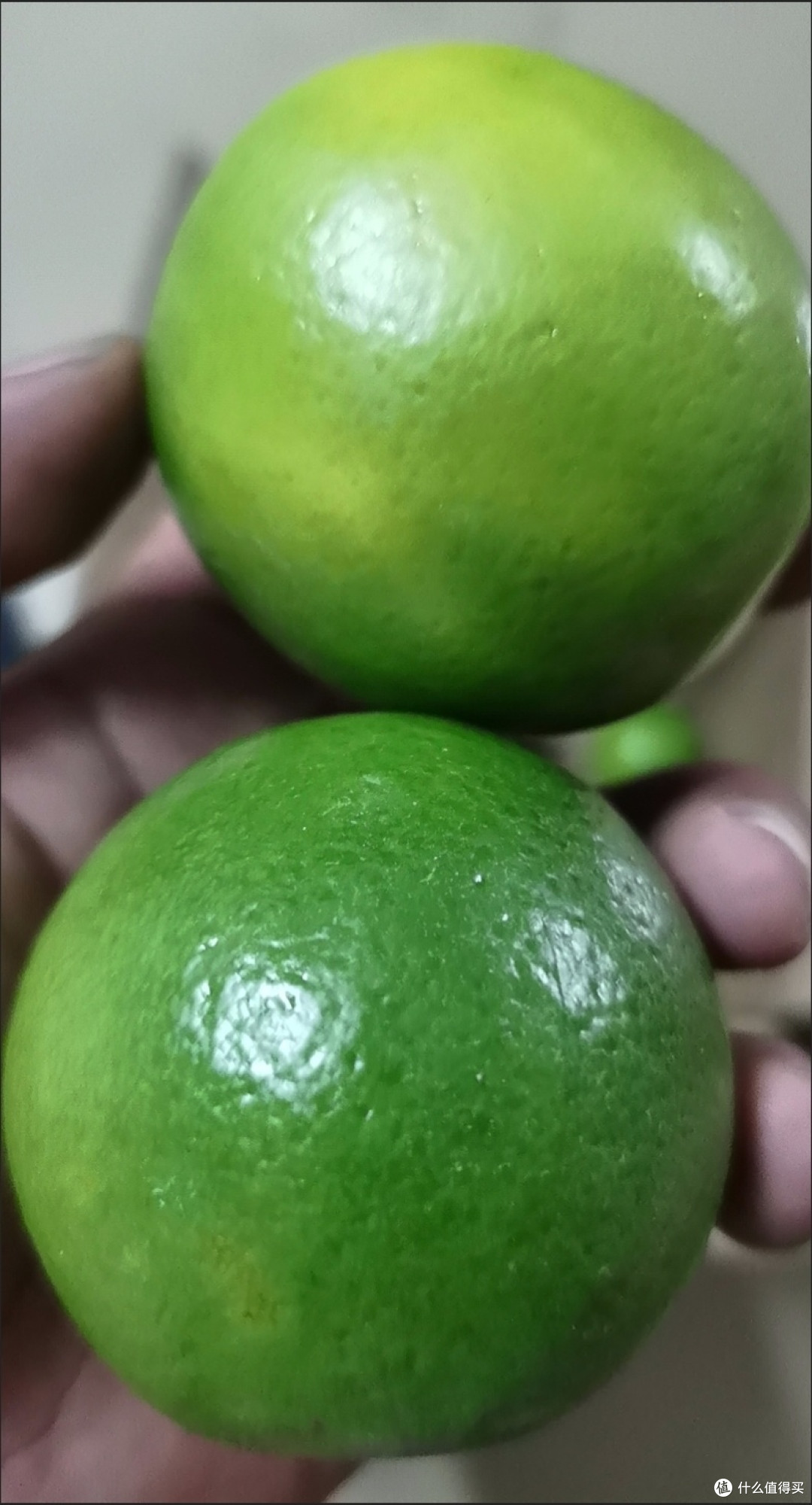 秋风起赶上中秋节,吃点甜蜜蜜的皇帝柑,吃月饼赏月太美了
