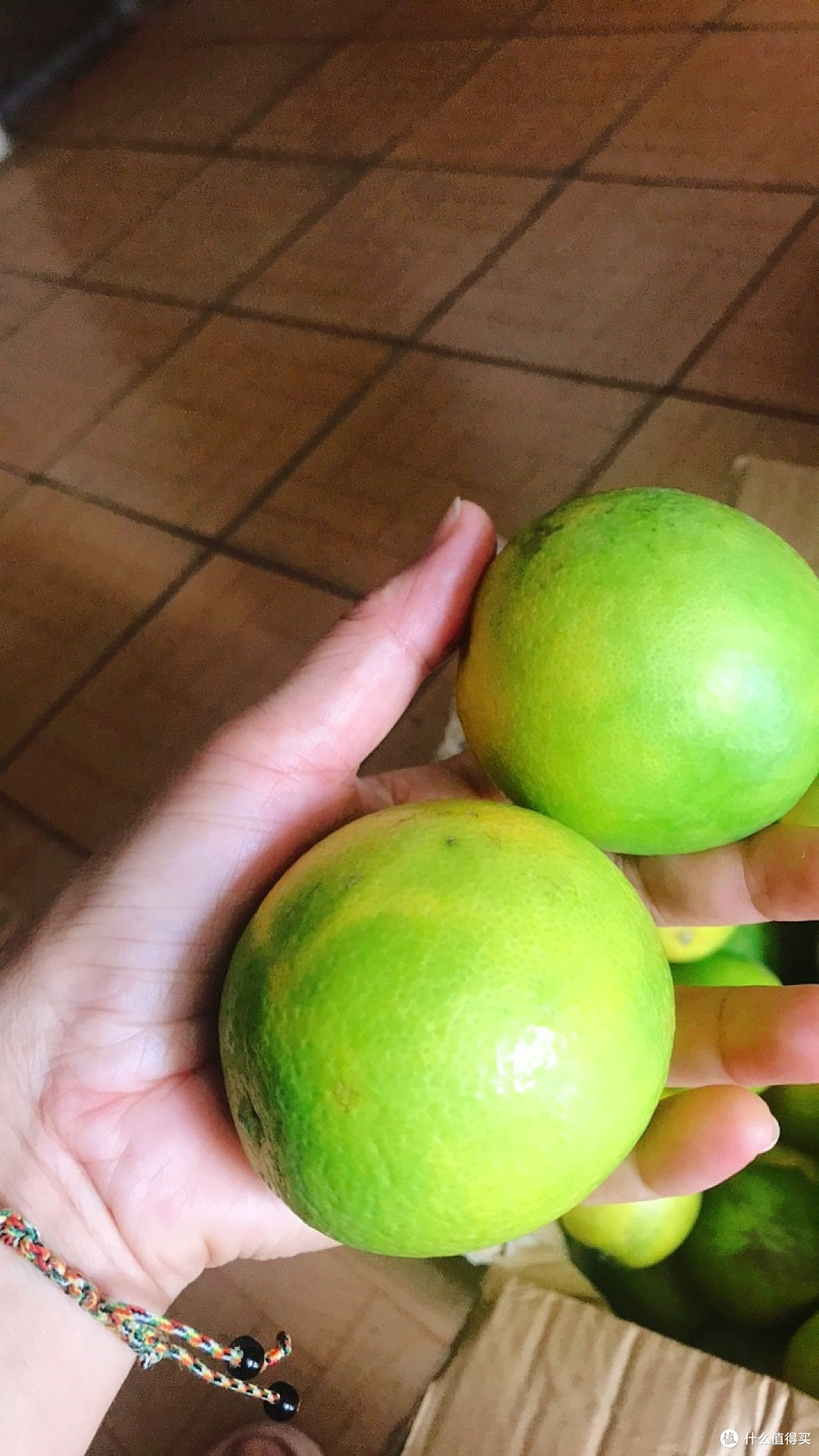 秋风起赶上中秋节,吃点甜蜜蜜的皇帝柑,吃月饼赏月太美了