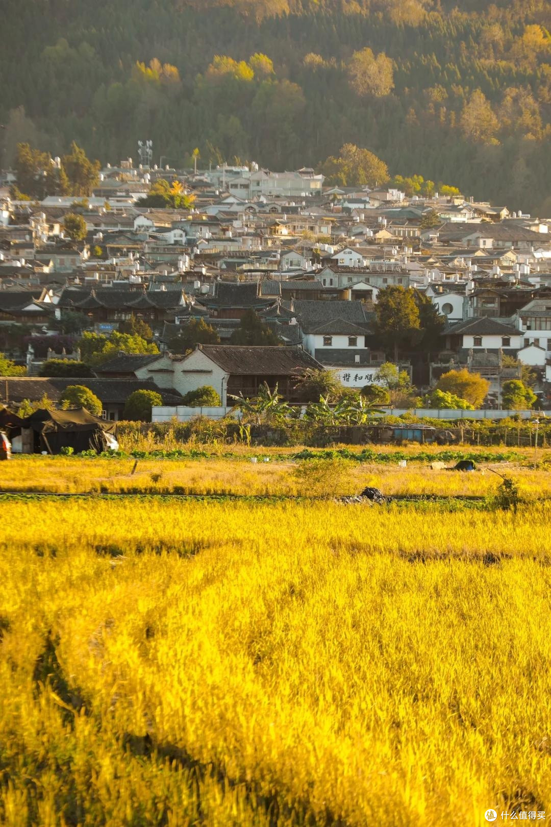 适合10-11月出行的6个旅行地,不用做攻略!就去小住三五天!