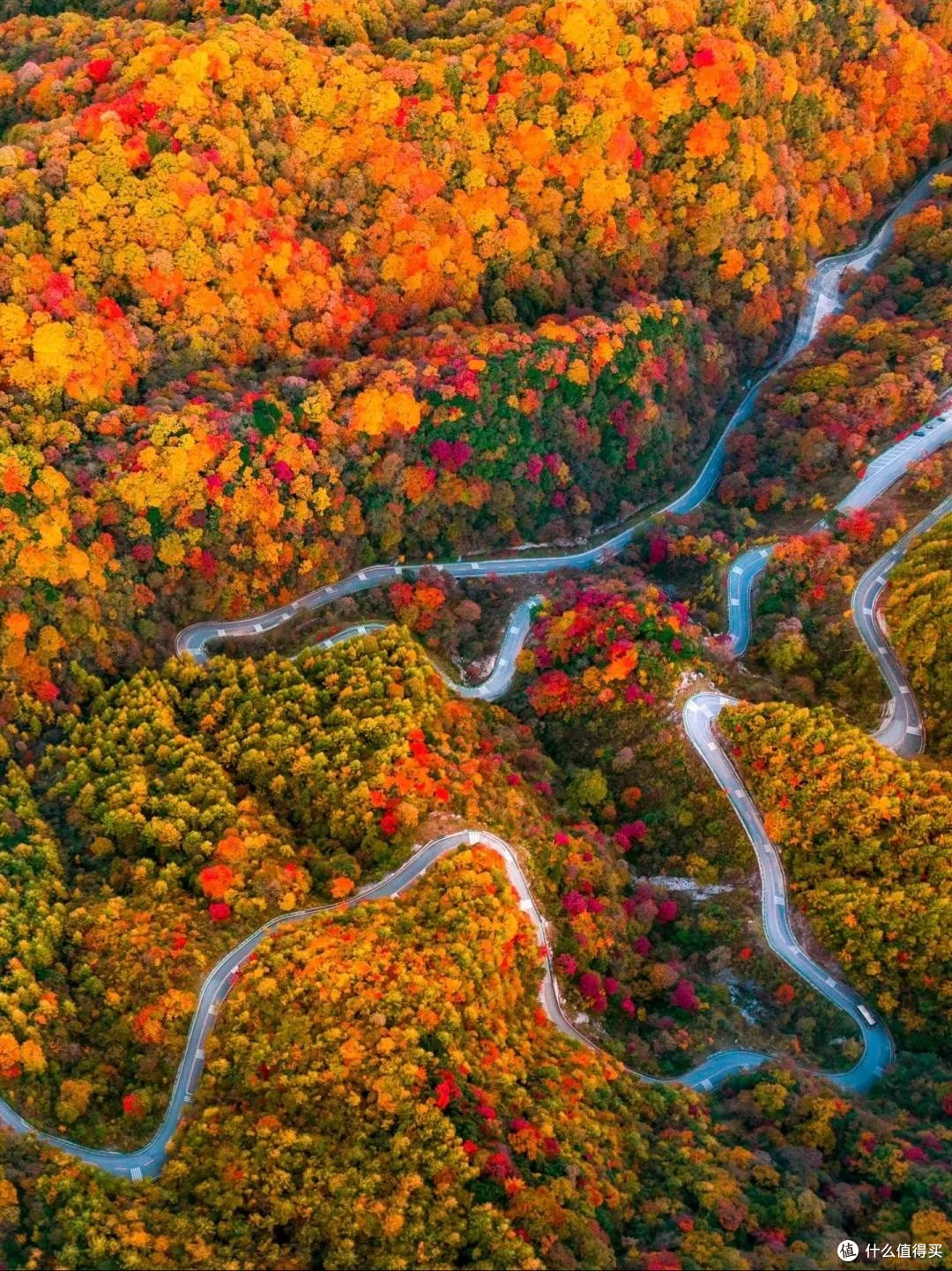 适合10-11月出行的6个旅行地,不用做攻略!就去小住三五天!