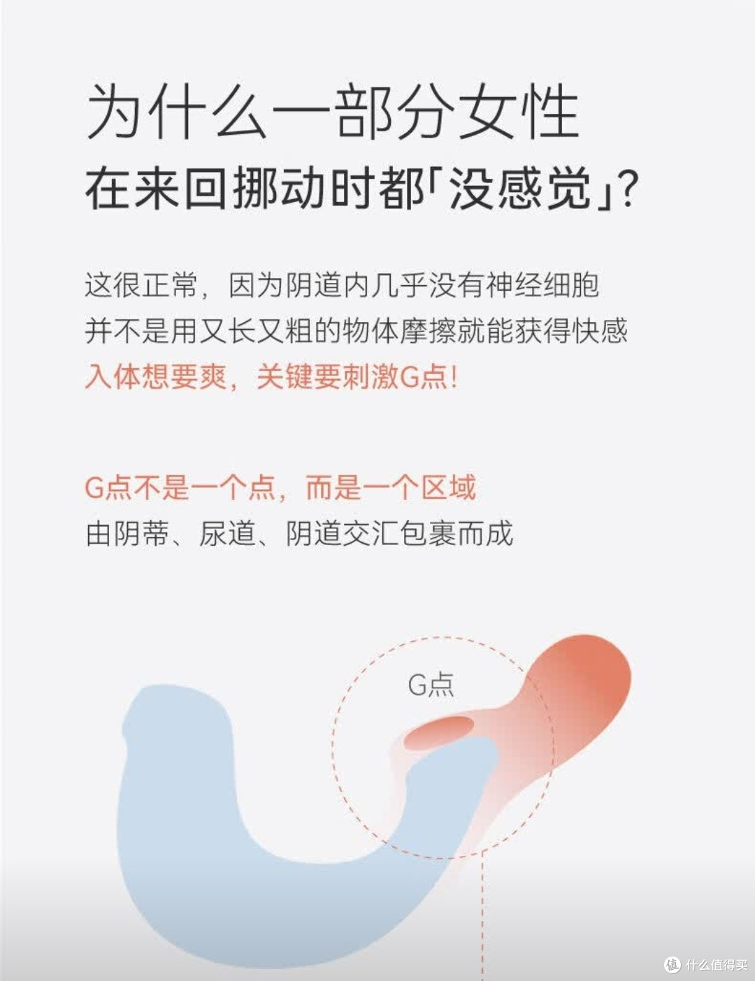 小海豹跳蛋,女性私密新宠