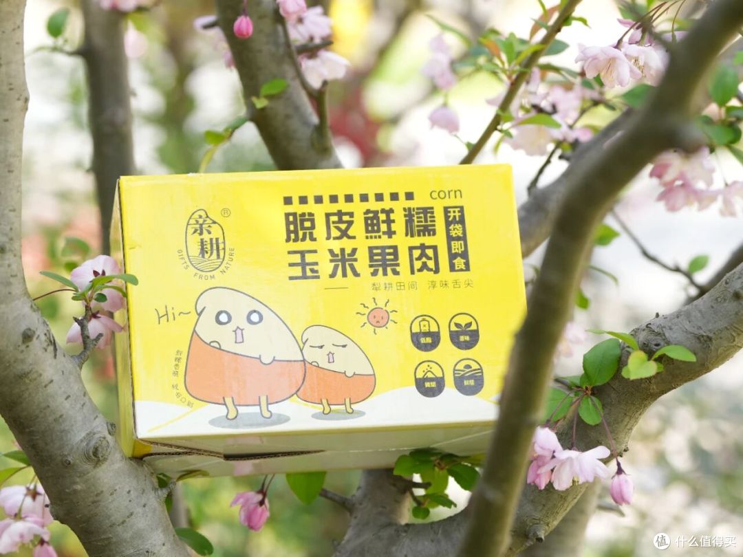 脱掉束缚的玉米粒,能迸发更香甜的美味