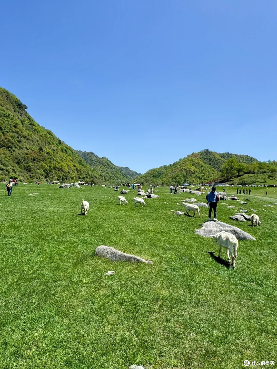 与草原的秋日私语:郴州仰天湖周末漫游记