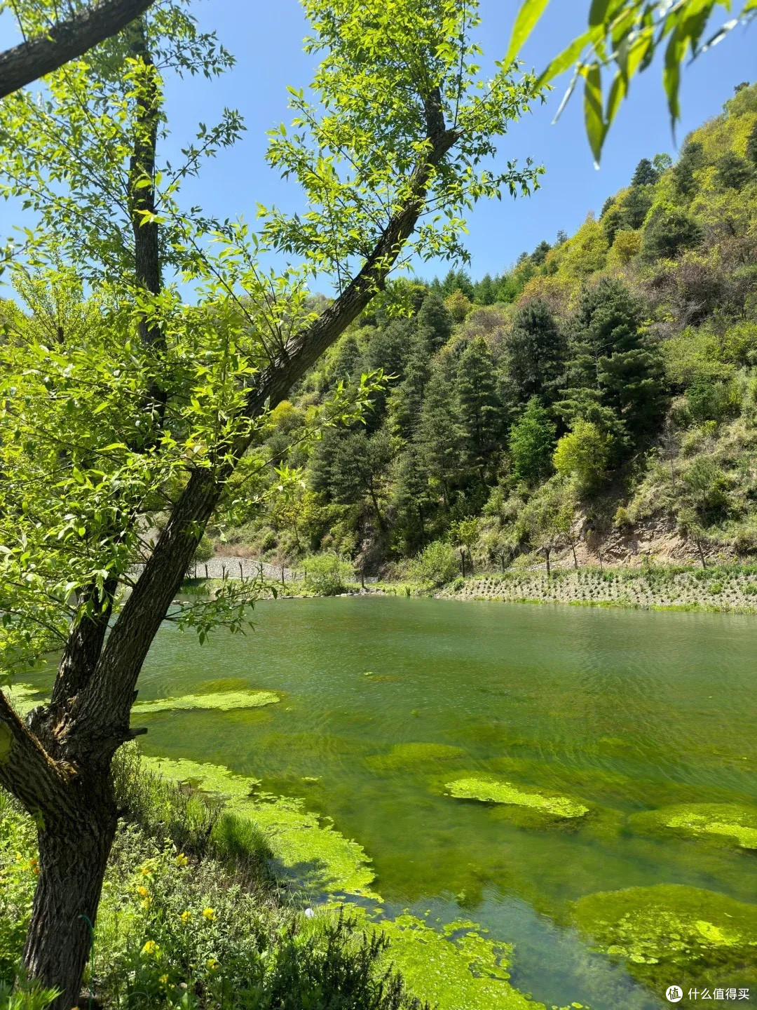 与草原的秋日私语：郴州仰天湖周末漫游记