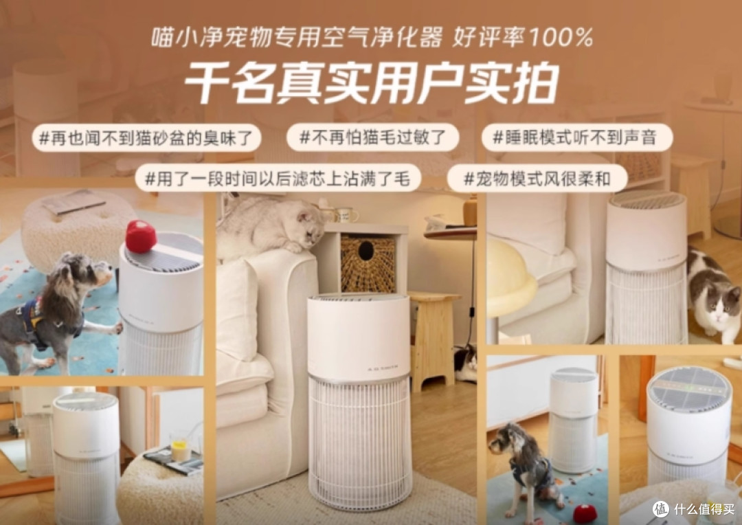 秋季养猫家庭必备,喵小净真好用