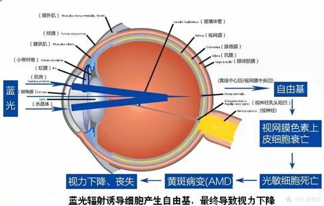 护眼大路灯哪个牌子好用?推荐8款大路灯护眼灯,权威公认榜单