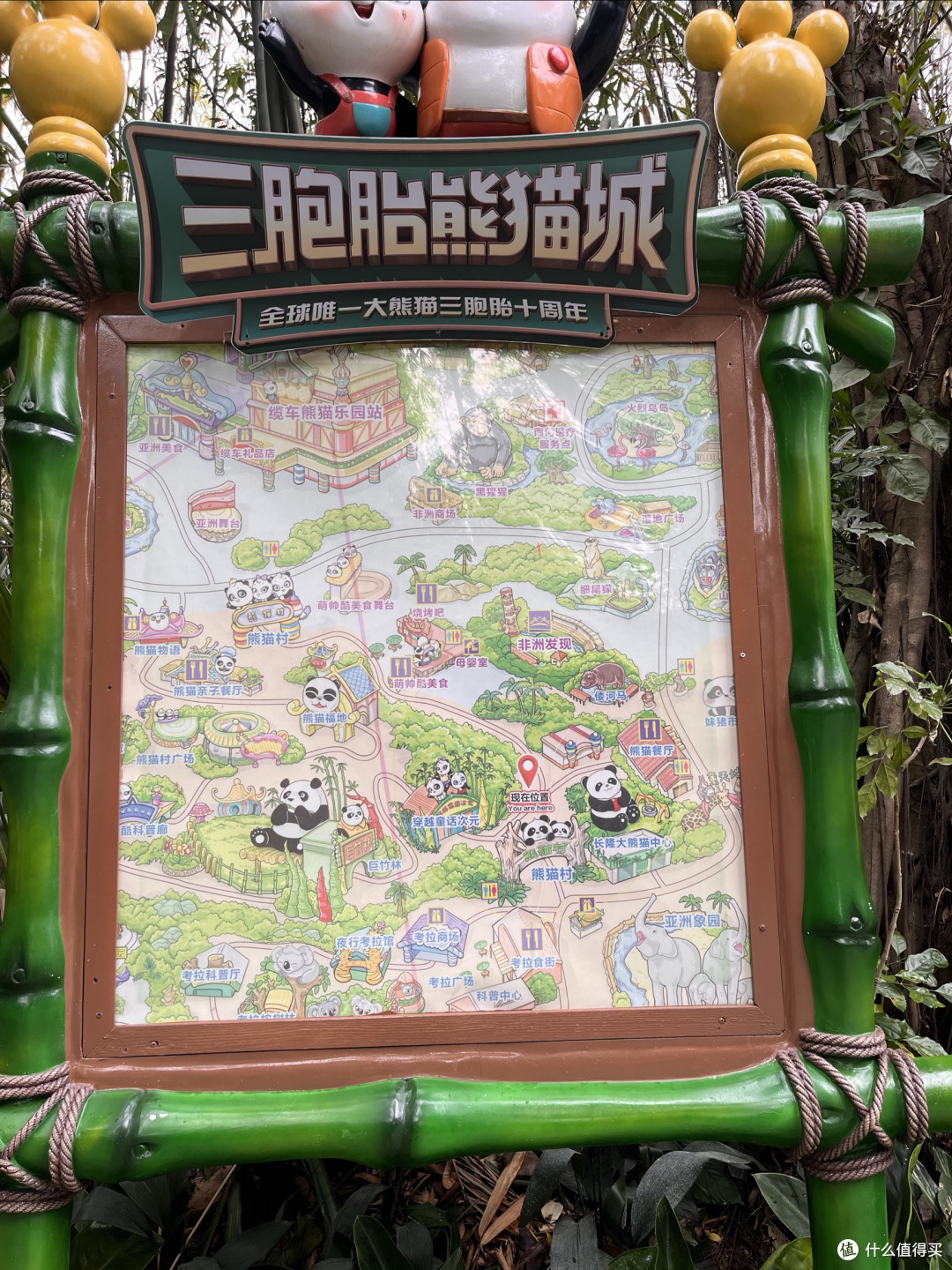 周末自愈计划:长隆野生动物园的治愈之旅