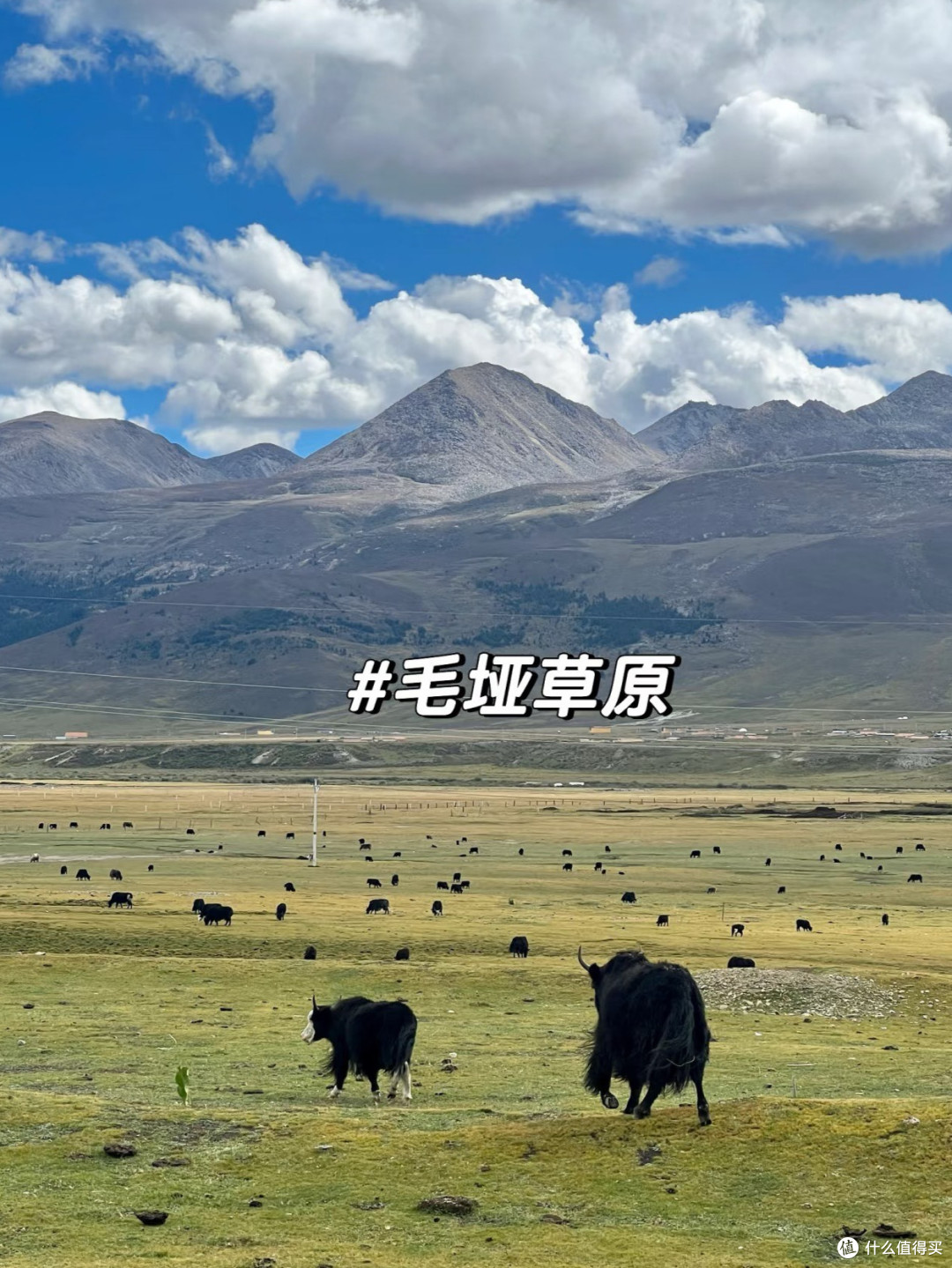 理塘:川藏线上的天空之城