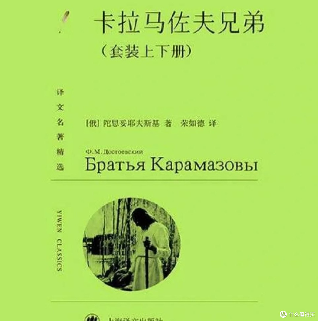 双11高评分文学作品推荐