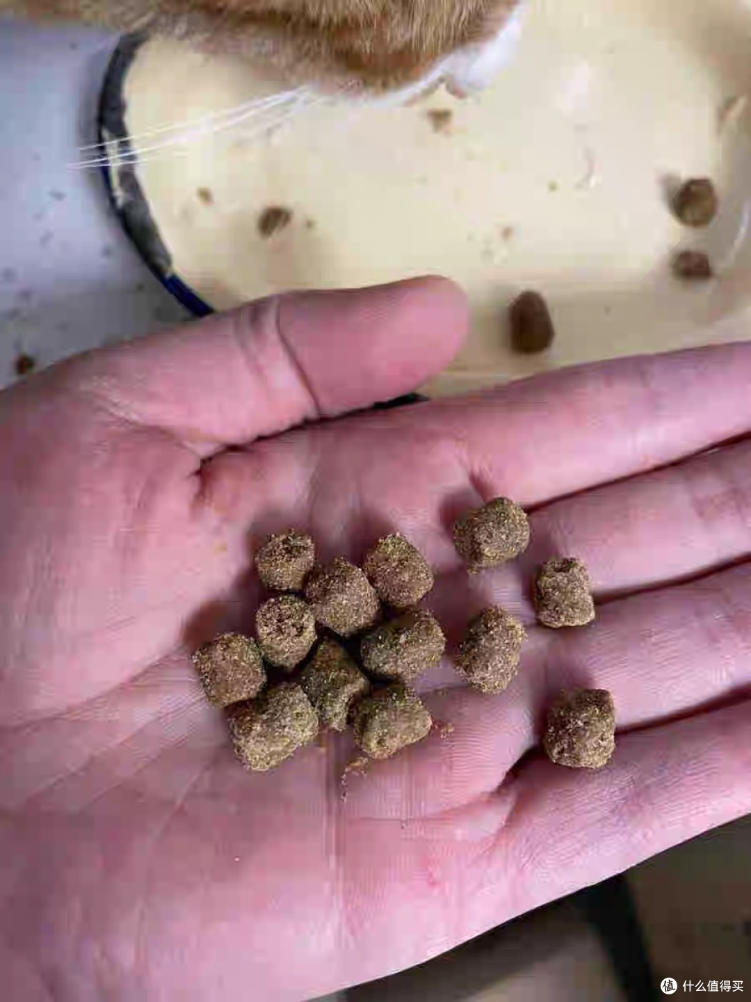 高爷家鲜蒸猫粮种草推荐
