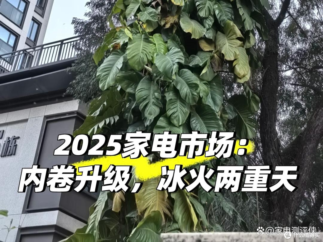 以为“早淘汰了”的5种家电，却有人还在用，网友：无可替代！