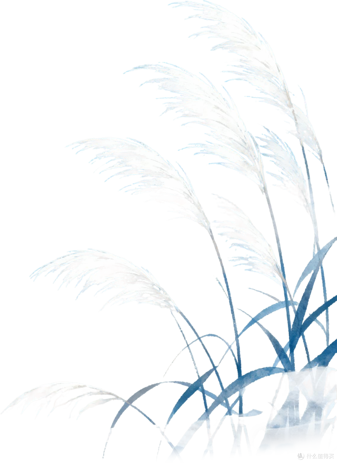 气象台不会告诉你的寒露隐患：跌倒风险激增，选对鞋是关键