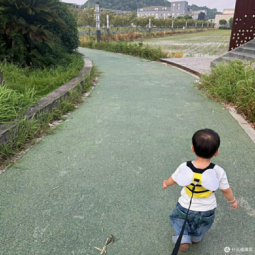 夏日遛娃暴击！全靠这6样续命✨