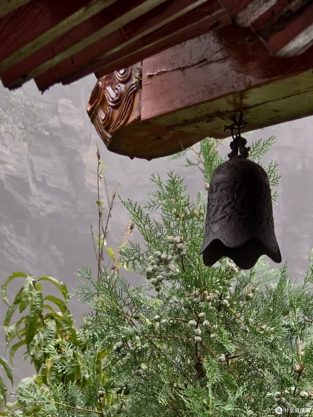 雨雾登山记:被洗涤的灵魂与山径