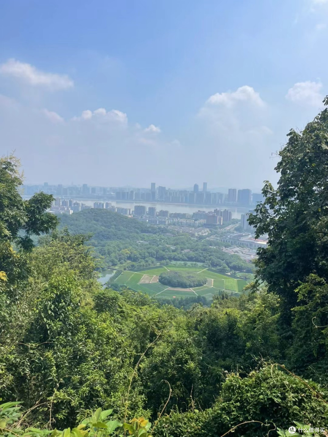 十一带娃去杭州玉皇山