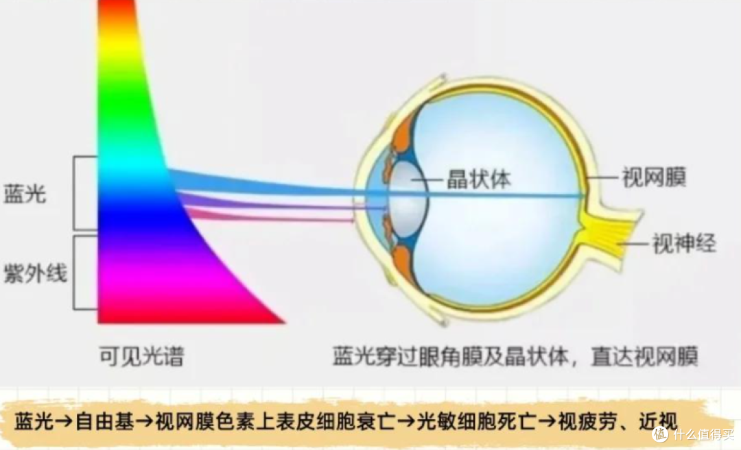 护眼大路灯哪个牌子更好一点?推荐公认专业护眼大路灯,安全护眼