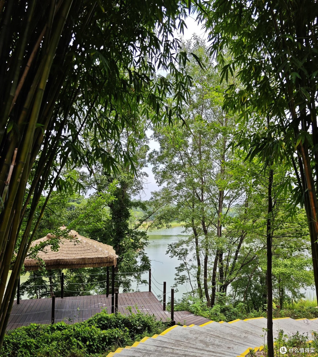 信阳文新茶村游记:在茶香云端做一日陆羽