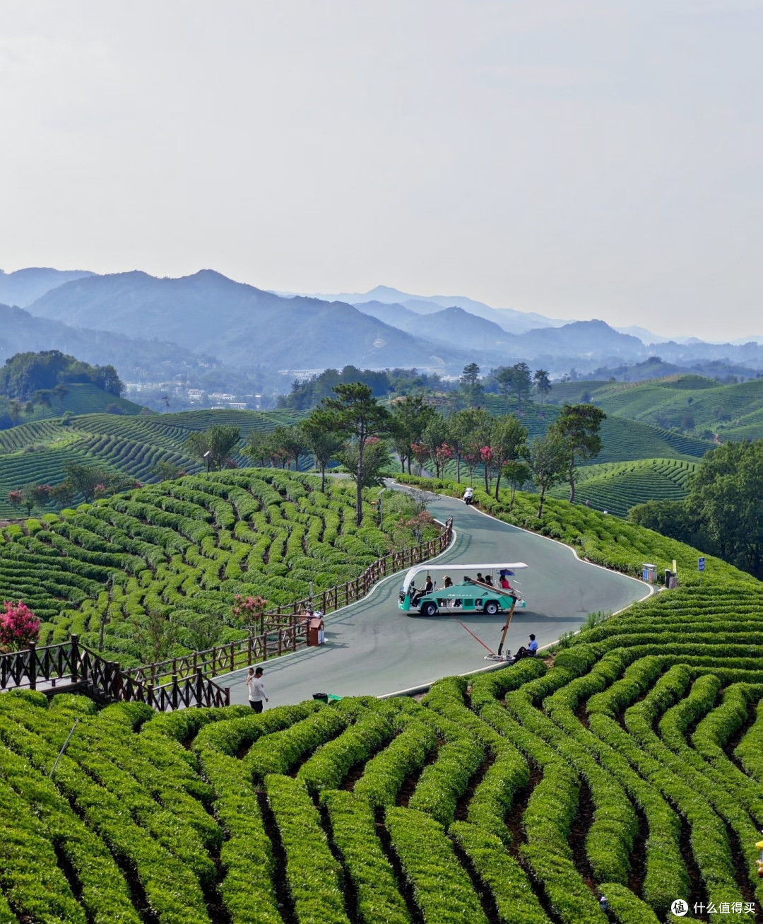 信阳文新茶村游记:在茶香云端做一日陆羽