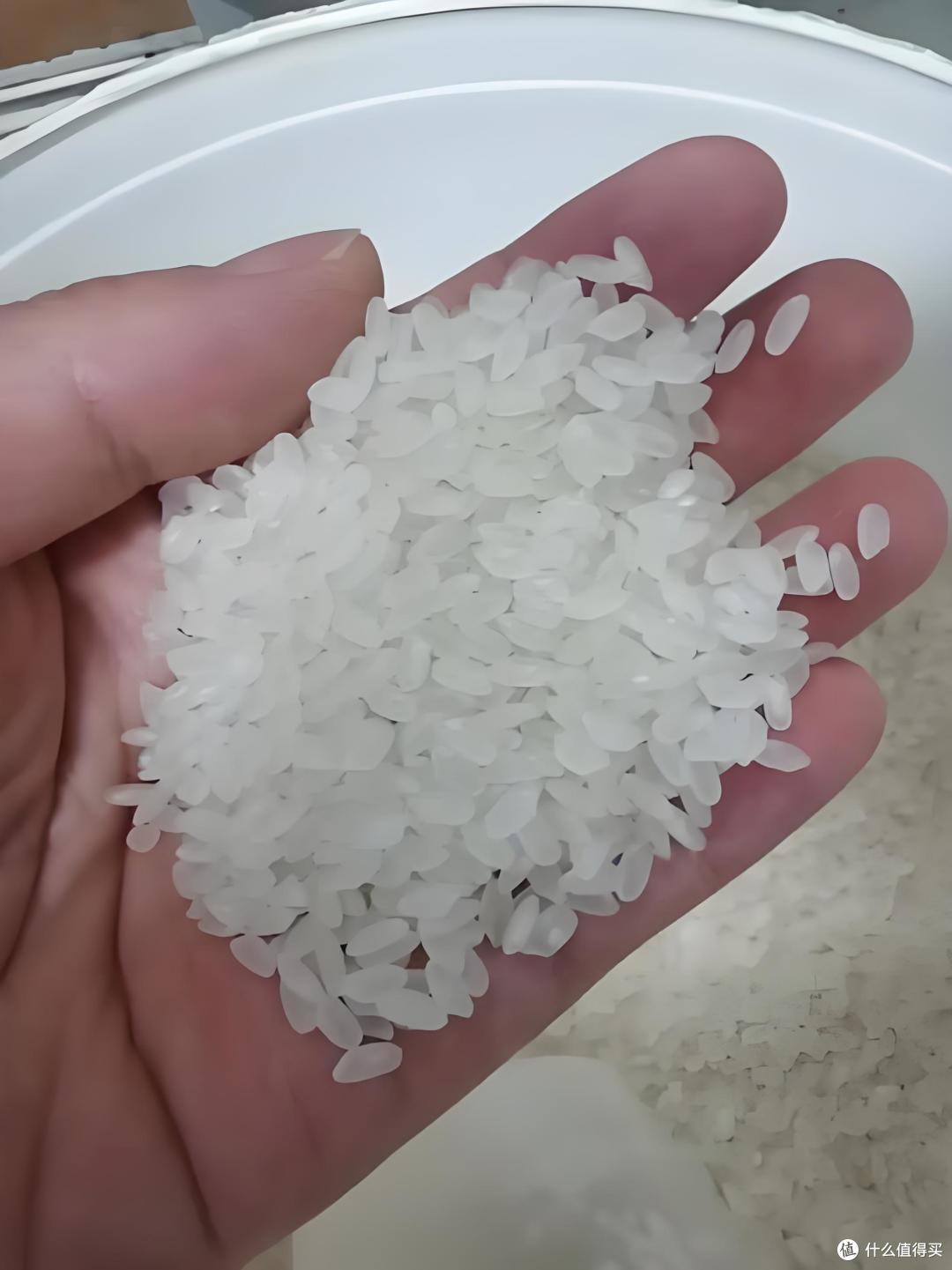 家庭选米看这!十月稻田大米香到舔盘