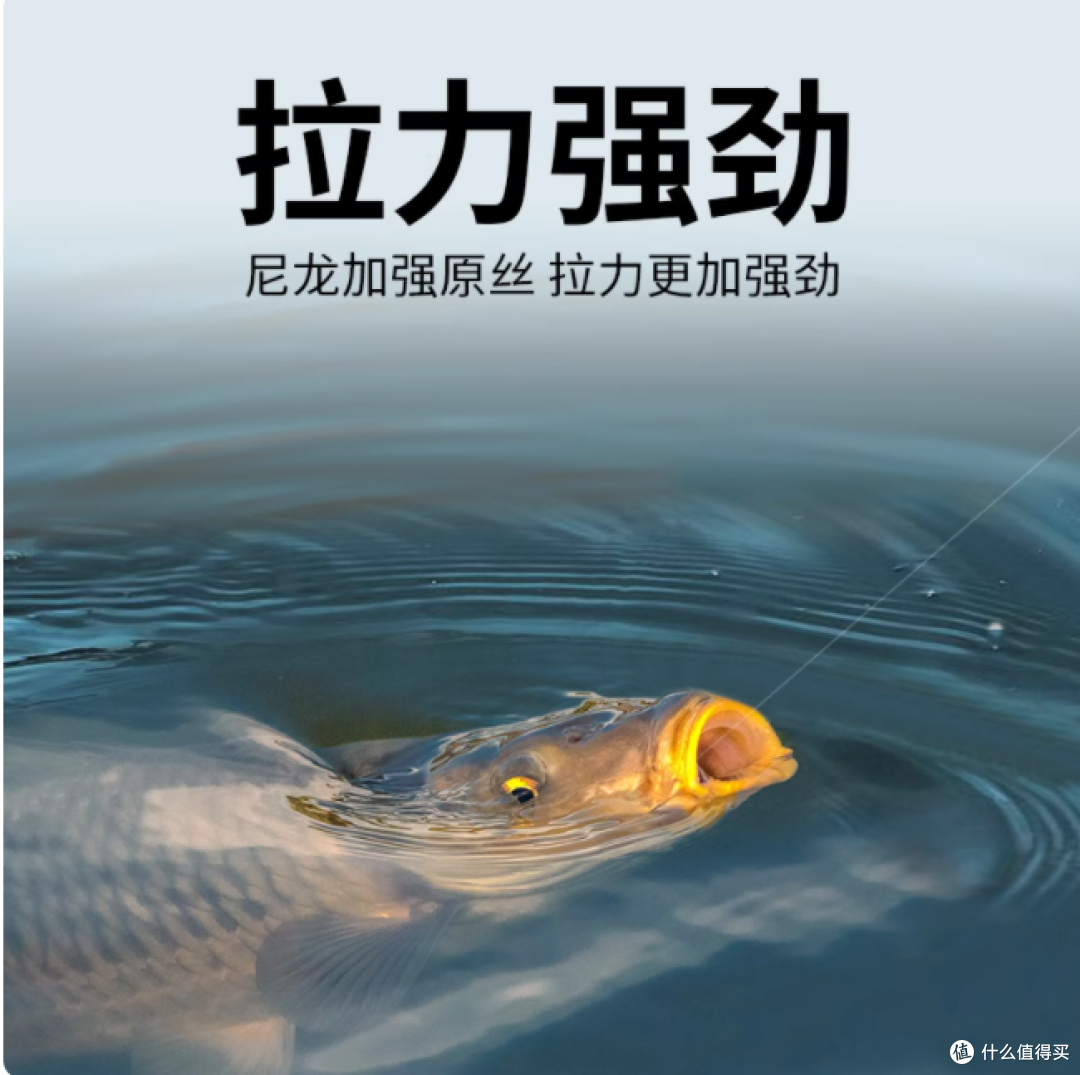 🎣被千寿升渔钓线封神!不打卷强拉力,野钓黑坑通杀太顶了