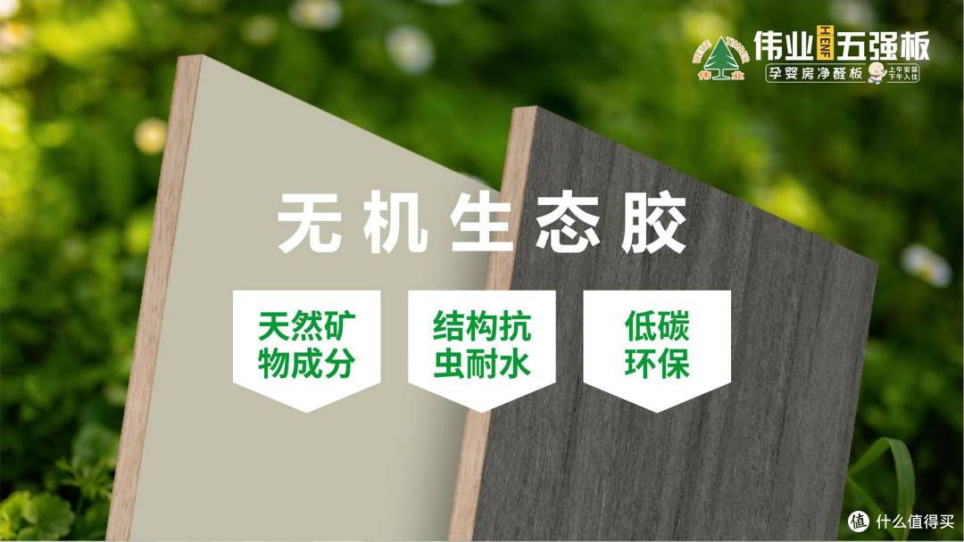 告别有机胶隐患！伟业五强板靠无机生态胶，净醛耐水还防虫