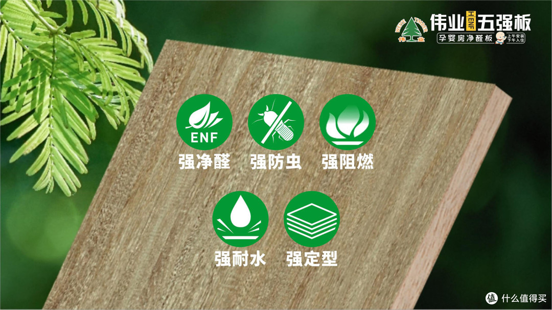 告别有机胶隐患！伟业五强板靠无机生态胶，净醛耐水还防虫