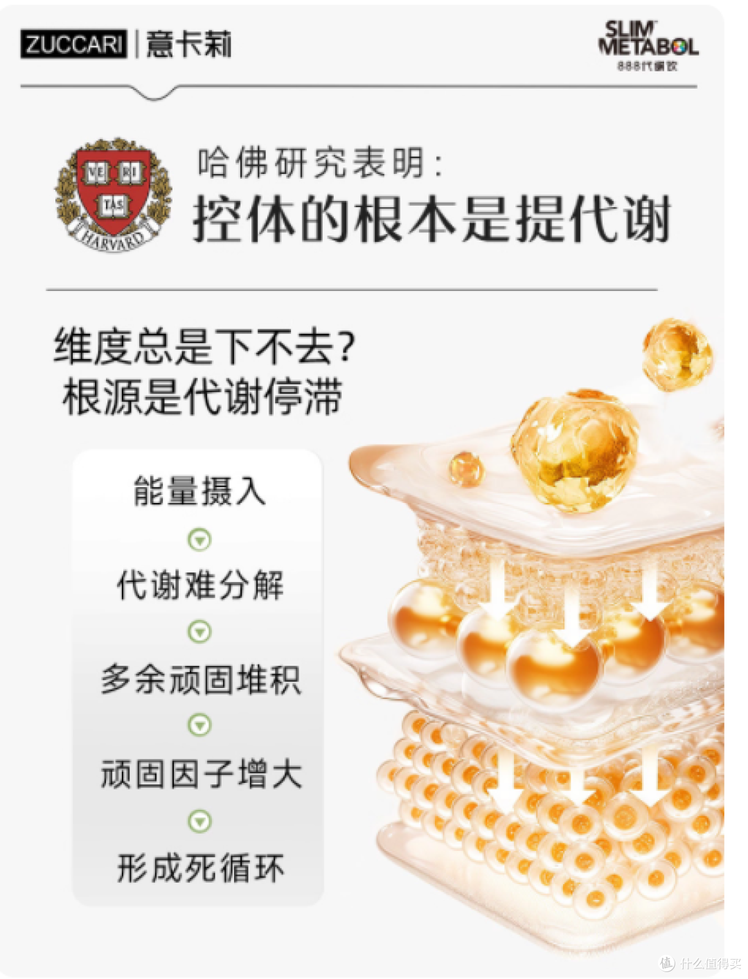 谁懂啊!久坐党 / 懒星人的代谢救星终于挖到了✨