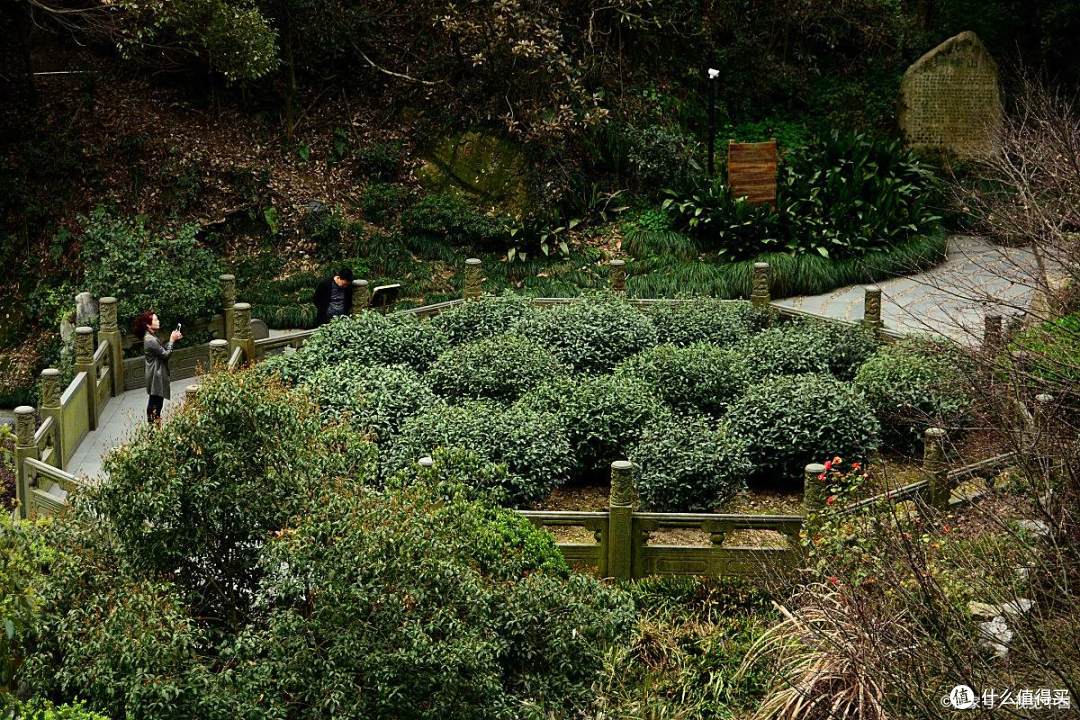 畅行联盟虚假宣传?亲测杭州 2 日游攻略:西湖茶香,玩得超舒心